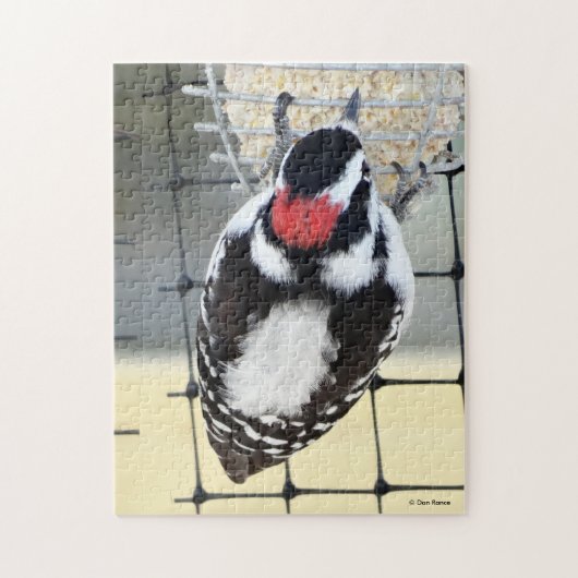B53 Downy Woodpecker Puzzle (Vertikal)