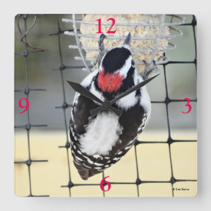 B53 Downy Woodpecker Quadratische Wanduhr