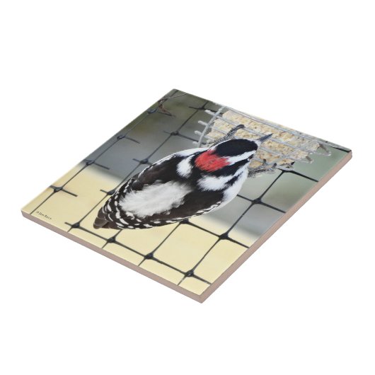 B53 Woodpecker Fliese (Seite)