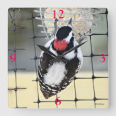 B53 Woodpecker Quadratische Wanduhr (Vorderseite)
