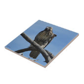 B54 Schwalbenweih Fliese (Seite)