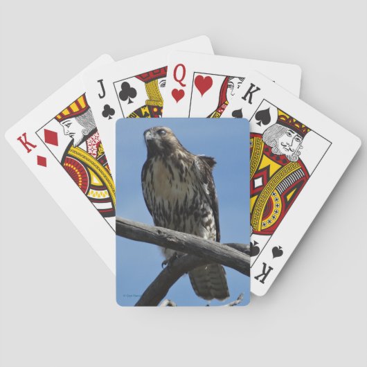 B54 Schwalbenweih Spielkarten (Rückseite)