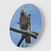 B54 Swainson's Hawk Große Wanduhr (Winkel)