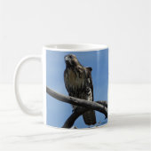 B54 Swainson's Hawk Kaffeetasse (Links)
