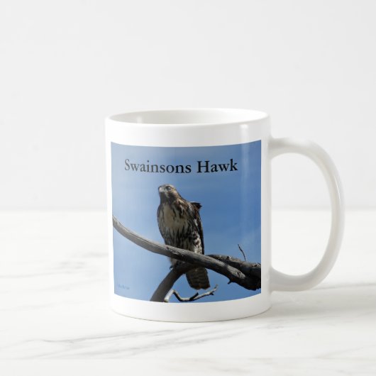 B54 Swainson's Hawk Kaffeetasse (Rechts)