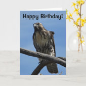 B54 Swainson's Hawk Karte (Gelbe Blume)