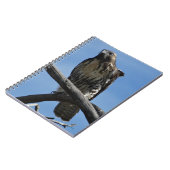 B54 Swainson's Hawk Notizblock (Linke Seite)