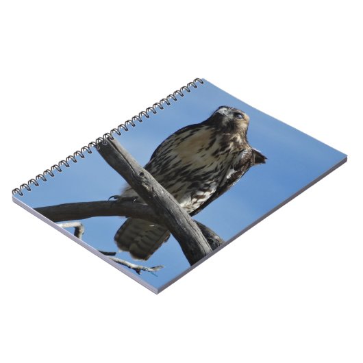 B54 Swainson's Hawk Notizblock (Linke Seite)