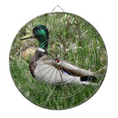B55 Mallard Duck Drake Greenhead im Gras Dartscheibe (vorne)