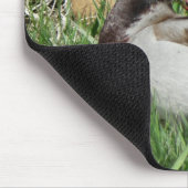 B55 Mallard Duck Drake Greenhead im Gras Mousepad (Ecke)