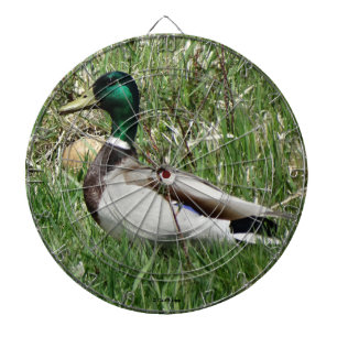 B55 Stockente Erpel Grünling im Gras Dartscheibe