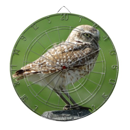B56 Burrowing Owl Dartscheibe (vorne)