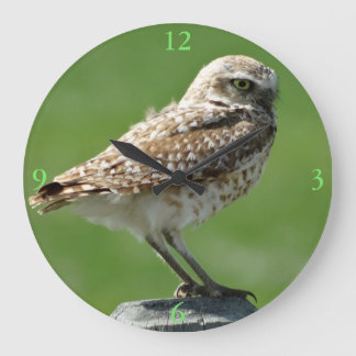 B56 Burrowing Owl Große Wanduhr