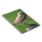 B56 Burrowing Owl Notizblock (Rechte Seite)