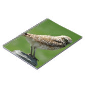 B56 Burrowing Owl Notizblock (Linke Seite)