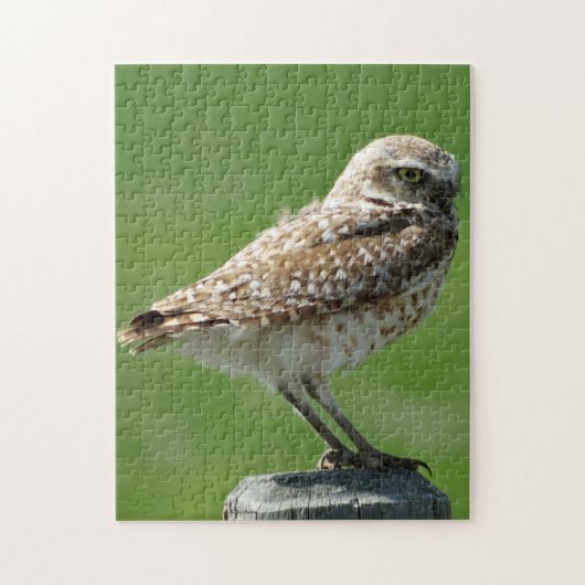 B56 Burrowing Owl Puzzle (Vertikal)