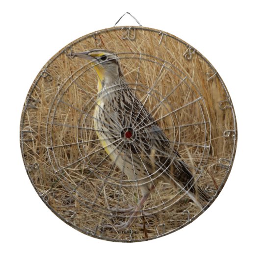 B57 Western Meadowlark Dartscheibe (vorne)