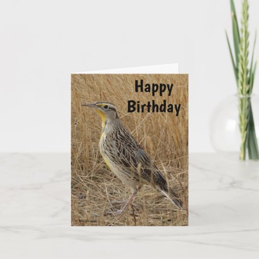 B57 Western Meadowlark Feiertagskarte (Vorderseite)