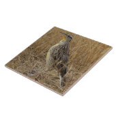 B57 Western Meadowlark Fliese (Seite)