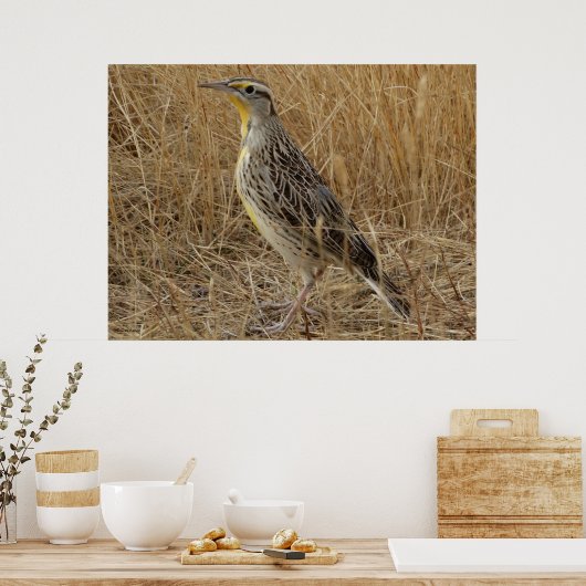 B57 Western Meadowlark Poster (Küche)