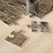 B57 Western Meadowlark Puzzle (Seite)