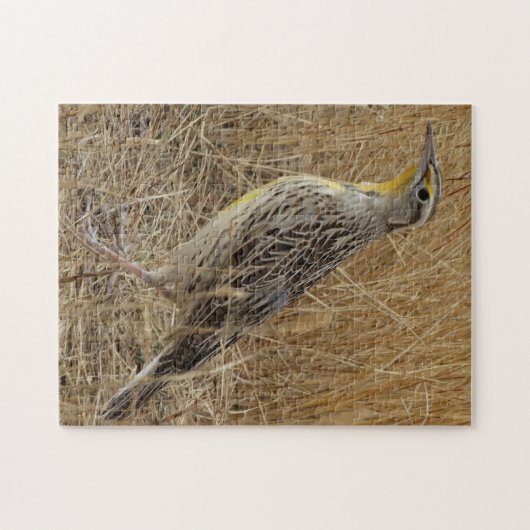B57 Western Meadowlark Puzzle (Horizontal)