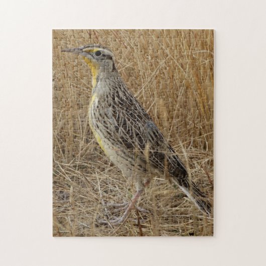 B57 Western Meadowlark Puzzle (Vertikal)