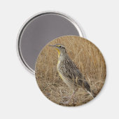 B57 Wiesenstärling Magnet (Vorderseite/Rückseite)