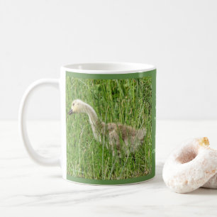 B58 Kanadagans-Gänseküken im Gras Kaffeetasse