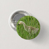 B58 Kanadas Gänsegel im Gras Button (Vorne & Hinten)