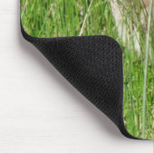 B58 Kanadas Gänsegel im Gras Mousepad (Ecke)