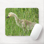 B58 Kanadas Gänsegel im Gras Mousepad (Mit Mouse)
