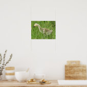 B58 Kanadas Gänsegel im Gras Poster (Küche)