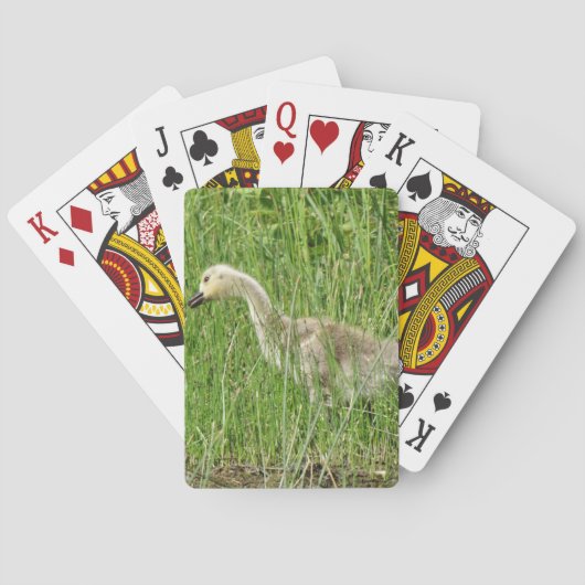 B58 Kanadas Gänsegel im Gras Spielkarten (Rückseite)