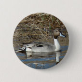 B5 Pintail Duck Drake Button (Vorderseite)