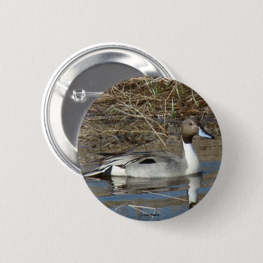 B5 Pintail Duck Drake Button (Vorne & Hinten)