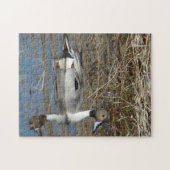 B5 Pintail Duck Drake Puzzle (Horizontal)