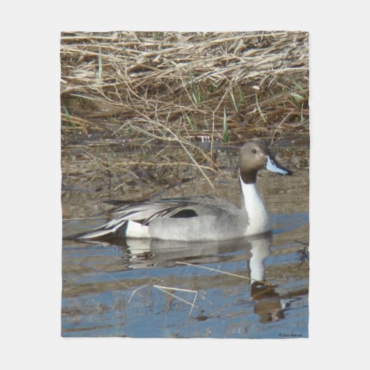 B5 Pintail-Erpel Fleecedecke (Vorderseite)