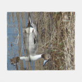 B5 Pintail-Erpel Fleecedecke (Vorderseite (Horizontal))