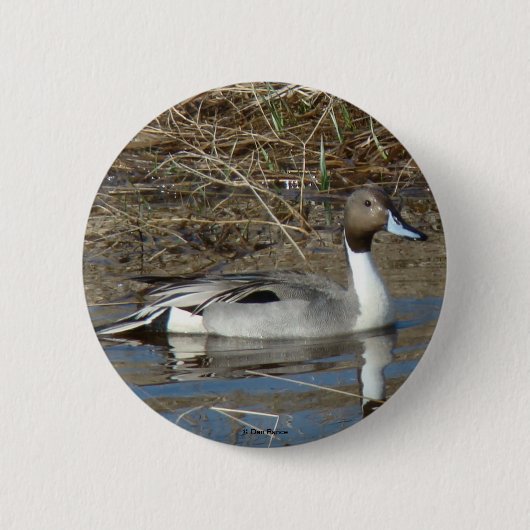 B5 Spießenten-Erpel Button (Vorderseite)