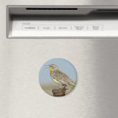 B6 Meadow Lark Magnet (In Situ (Geschirrspüler))