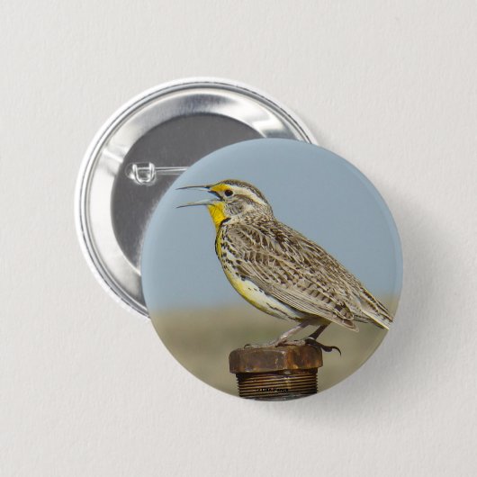 B6 Western Meadowlark Button (Vorne & Hinten)