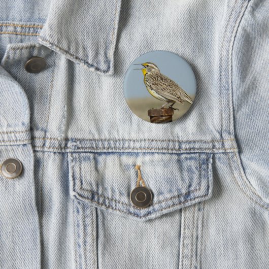 B6 Western Meadowlark Button (Beispiel)