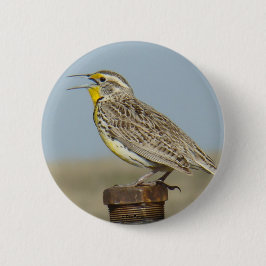 B6 Western Meadowlark Button