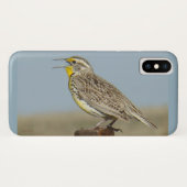 B6 Western Meadowlark Case-Mate iPhone Hülle (Rückseite (Horizontal))