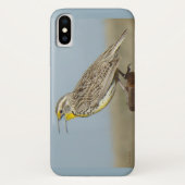 B6 Western Meadowlark Case-Mate iPhone Hülle (Rückseite)