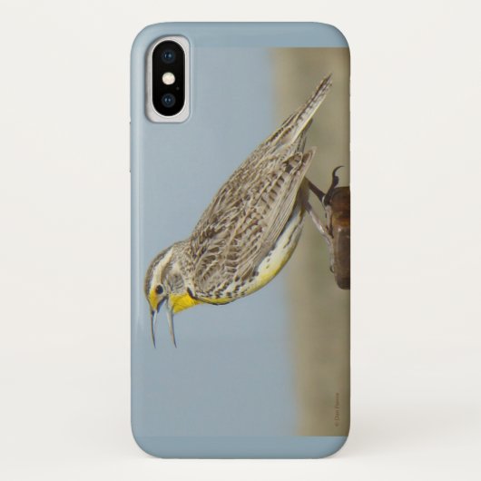 B6 Western Meadowlark Case-Mate iPhone Hülle (Rückseite)