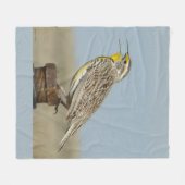 B6 Western Meadowlark Fleecedecke (Vorderseite (Horizontal))