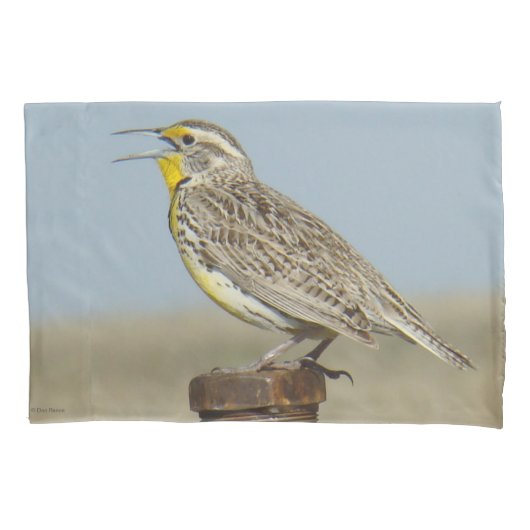 B6 Western Meadowlark Kissenbezug (Vorderseite)