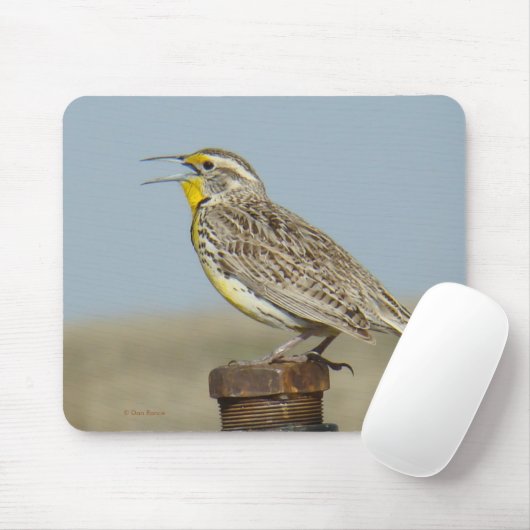 B6 Western Meadowlark Mousepad (Mit Mouse)